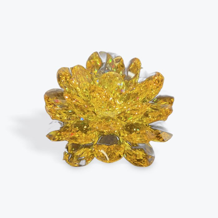 金灿阳光花 Orange crystal lotus