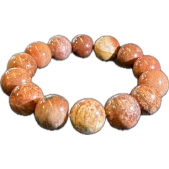 珊瑚玉（海核之心）Core Coral Beads