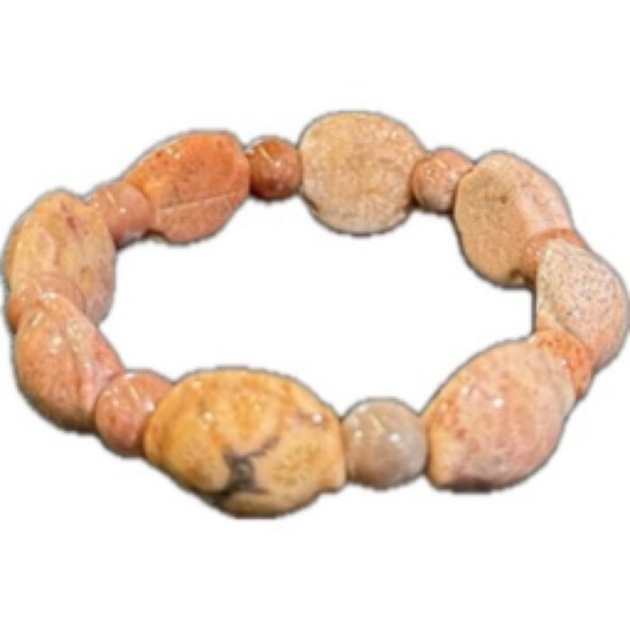 珊瑚玉（靈珊鎧甲）Spirit Coral Armor