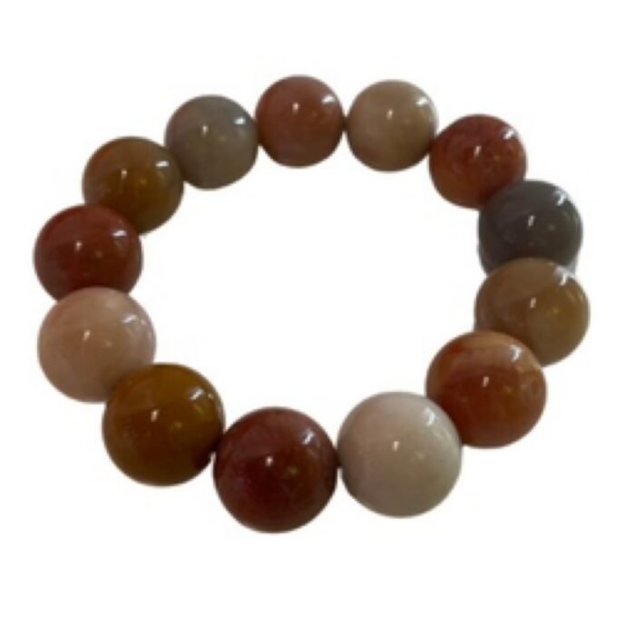 珊瑚玉（秋目凝露）Coral Fossil