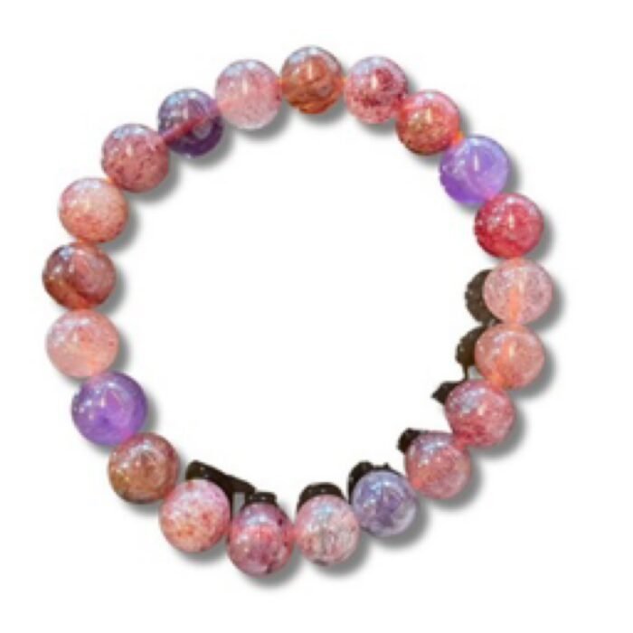 七彩草莓 Seven Strawberry Melody