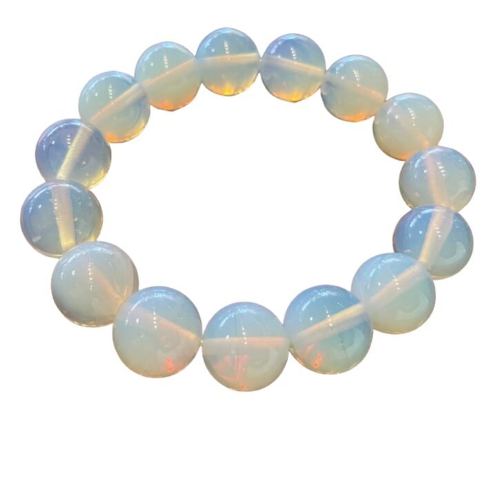 月光之舞 Moonlight Dance