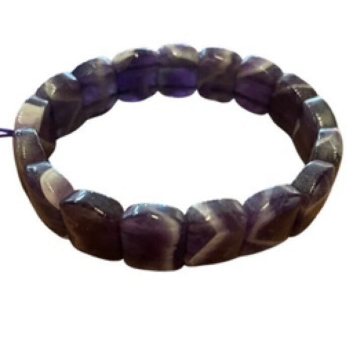 紫夢花映Violet Blossom