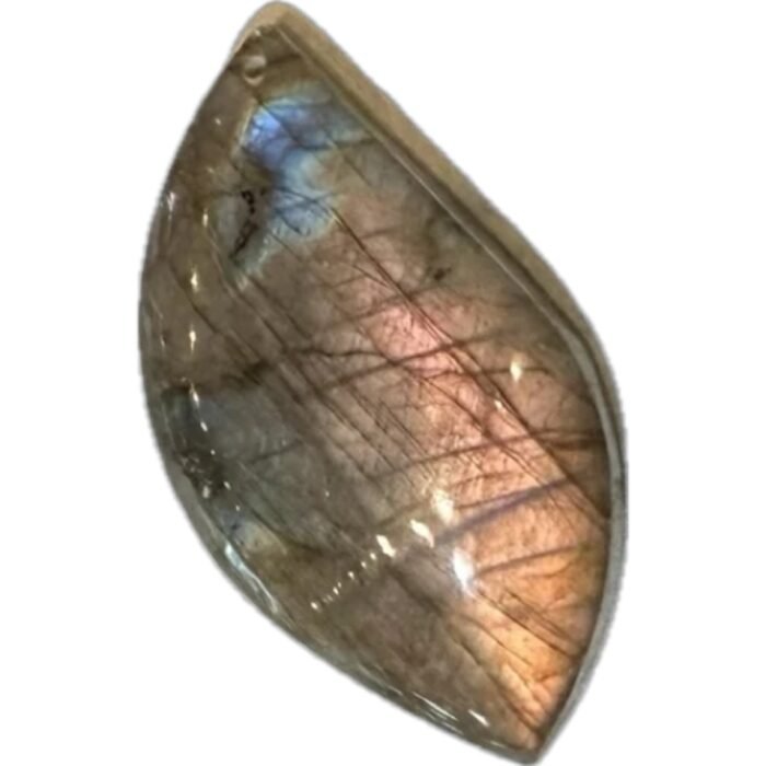 長生如意Everlasting Harmony