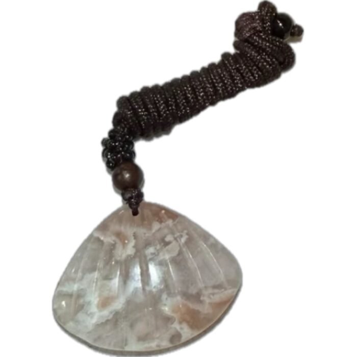 貝海夢語Seashell Dream